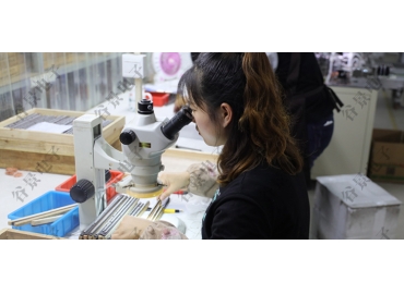 貼片共模電感方向如何區(qū)分你知道嗎？